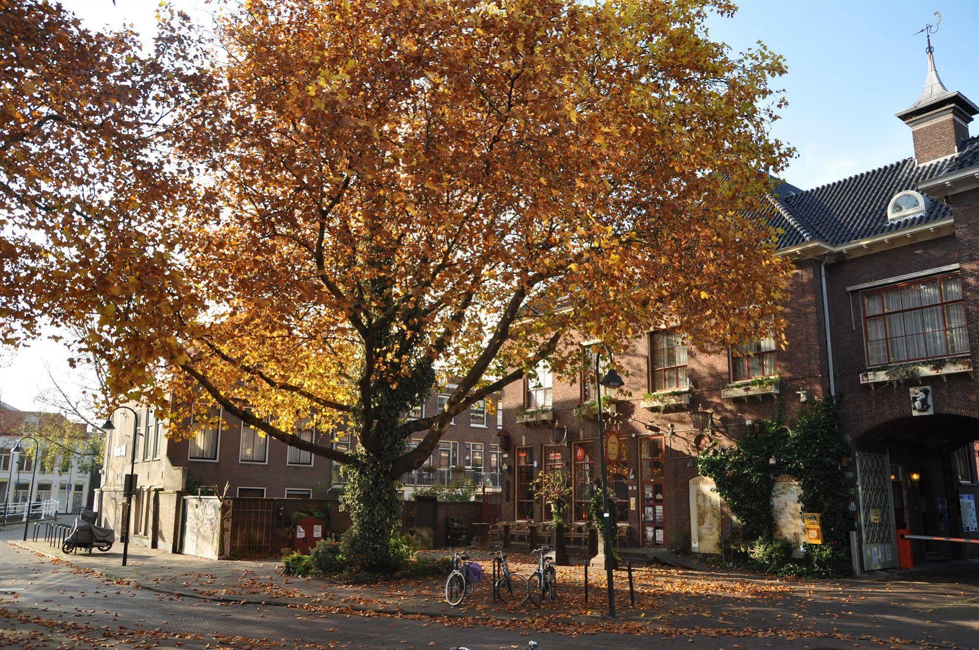 De Plataan Centrum 3* Delft